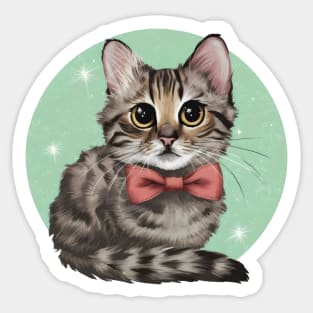 Coquette Tabby Cat Sticker